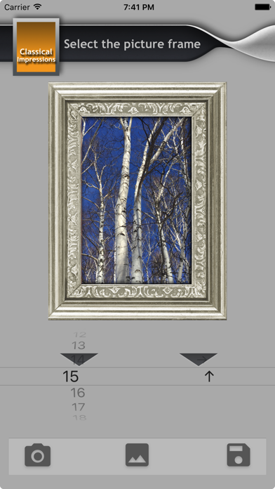 Frames Pro - Classical frames Screenshot