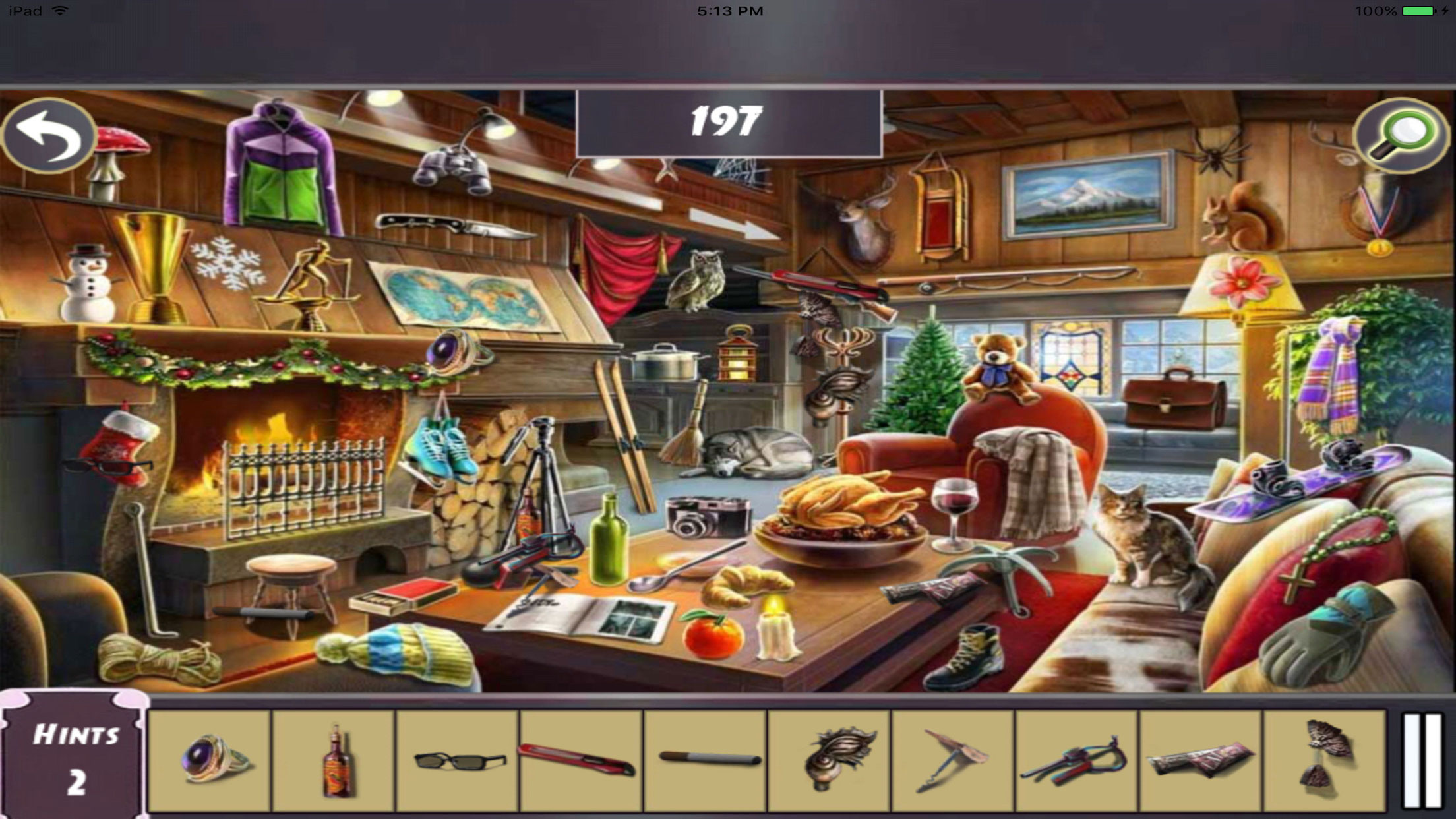 Hidden Objects:Crime Scene Investigation