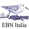 Ubird di EBN Italia icon