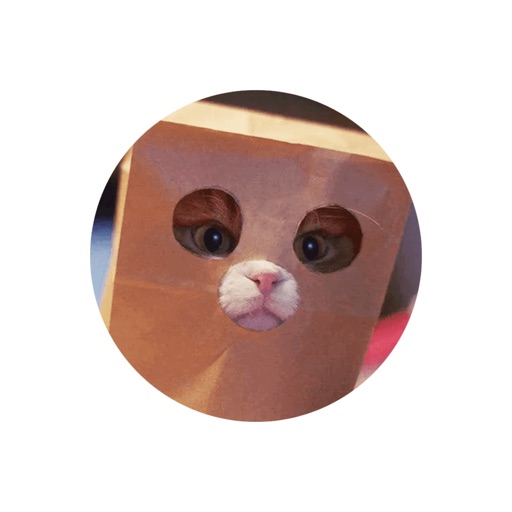 Broken Animals - AppWisp.com