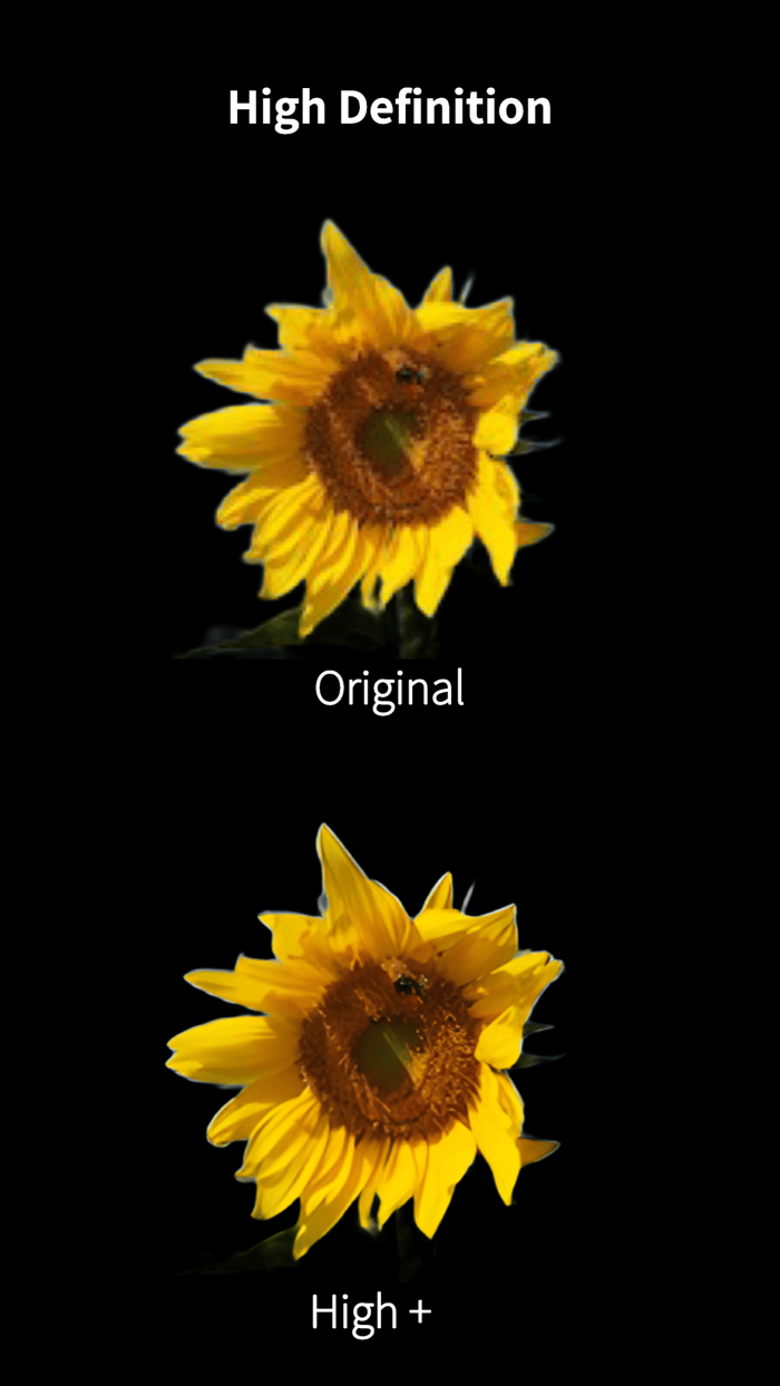 AI BG Remover - PictureX