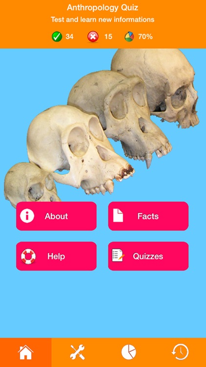 Anthropology Quizzes