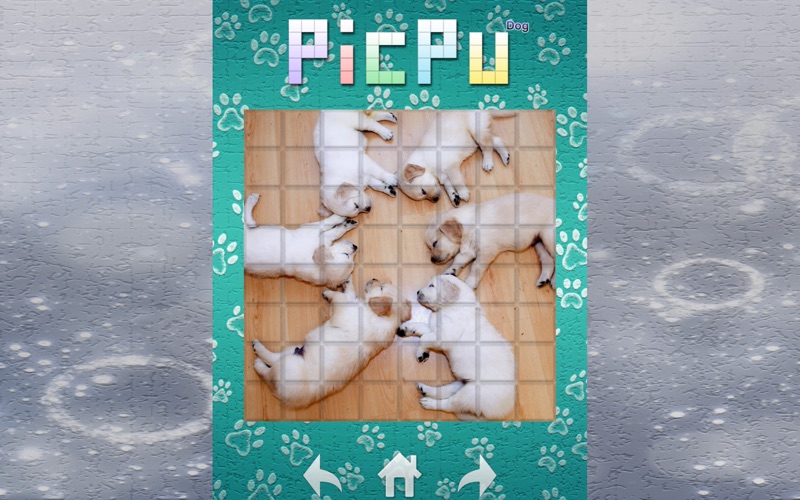 Screenshot #2 pour PicPu Dog Puzzle