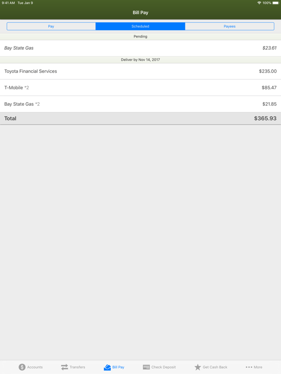 NorthCountry Mobile Banking iPad screenshot 6 - Finance app