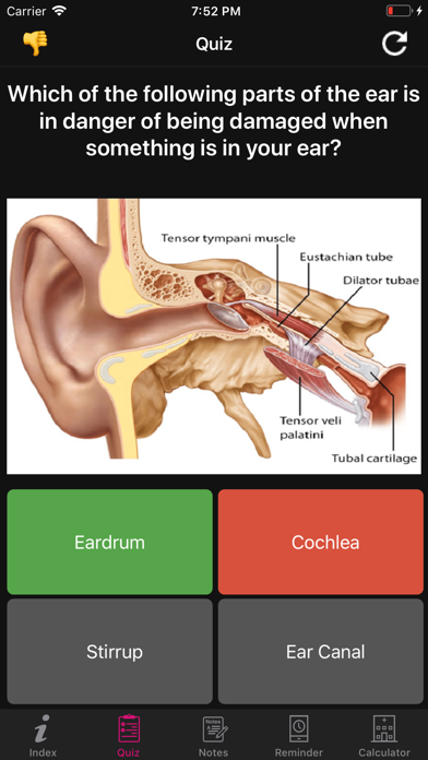 Human Anatomy Ears Facts, Quizのおすすめ画像6