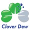 Icon Clover Dew