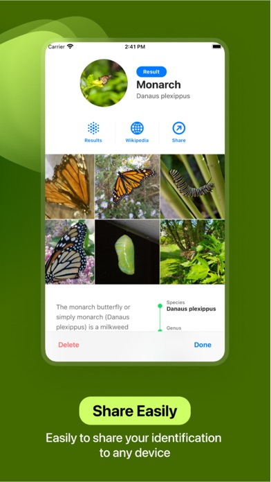 Insect Identifier Screenshot
