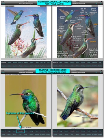 iBird Pro Guide to Birdsのおすすめ画像5