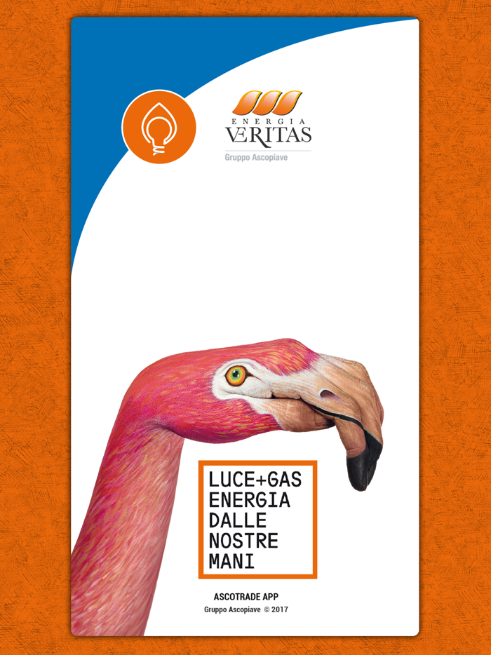 VeritasEnergia App gas e luce