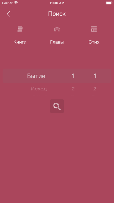 Russian Bible Offline Screenshot