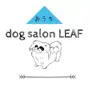 dog salon LEAF