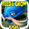 Fish & Grow Battle Simulator