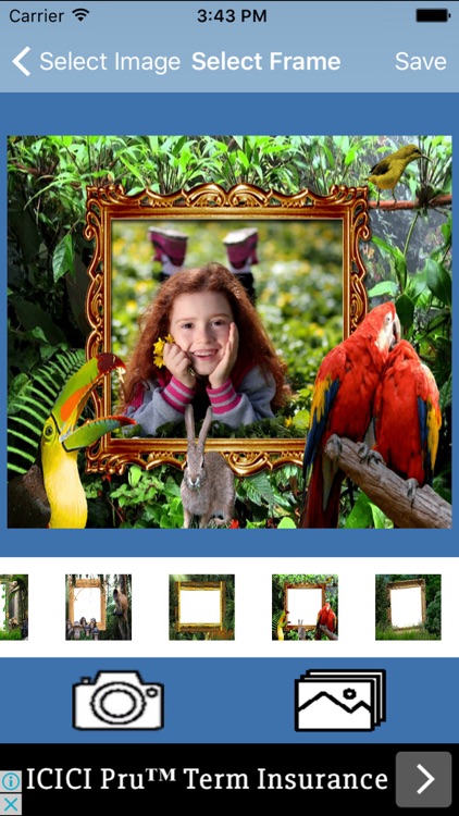 Forest And Nature Photo Collage Frame