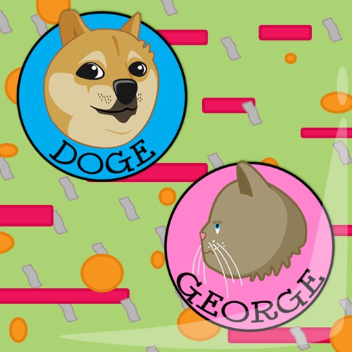 Doge Meets George Icon