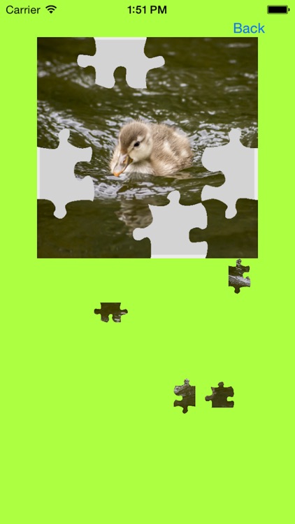 Ducklings, Goslings Jigsaw Puzzles screenshot-3