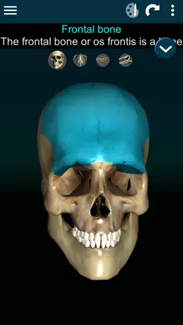 Game screenshot Bones 3D (Anatomy) mod apk