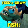 FISH & GROW - FEED SIMULATOR