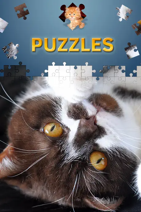 Jigsaw Puzzle Games Classic