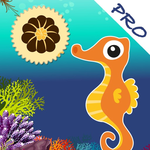A Seahorse Cookie ! PRO Icon