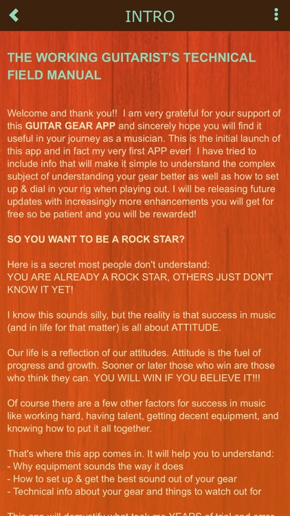 GUITAR GEAR