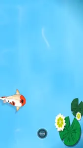 Koi Pond Live HD screenshot #4 for iPhone