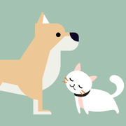 Talking Pet · Pet Translator