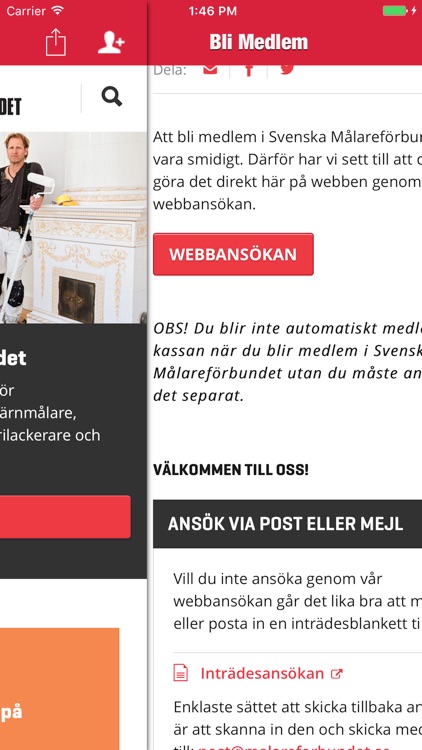 Målarna screenshot-3