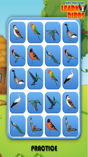Kids Fun Game Learn Birds(圖4)-速報App