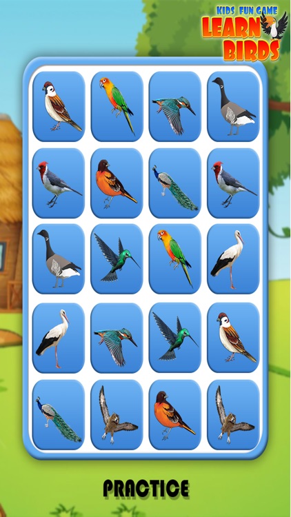 Kids Fun Game Learn Birds screenshot-3