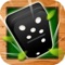Domino is super addictive, fast-paced, easy to learn but impossible to master