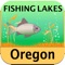 Best lakes for fishing in the State