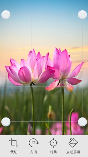 Photo Editor+ 照片編輯器、濾鏡相機、照片拼貼畫(圖2)-速報App