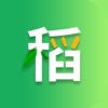 知稻 icon