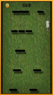 lost cat running game for kids – angela pet kitten iphone screenshot 2