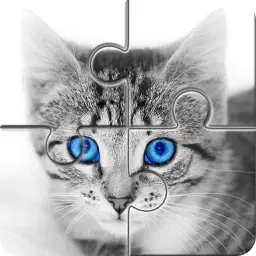 Hola Little Cats app icon