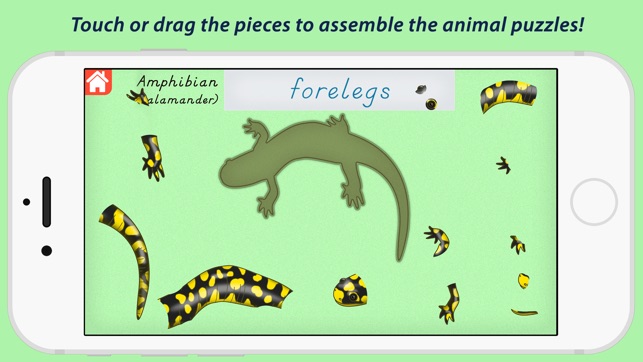 Parts Of Animals Vertebrates - Montessori Zoology(圖5)-速報App