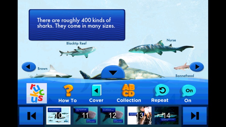SeaWorld: Shark Goes to the Doctor