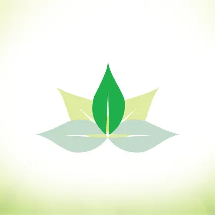 Dr. Priti Kothari Читы