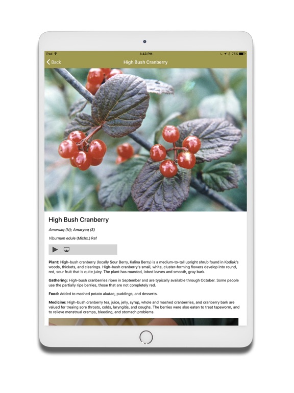 Alutiiq Plants iPad screenshot 4 - Reference app