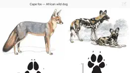 mammals of the southern african subregion problems & solutions and troubleshooting guide - 1