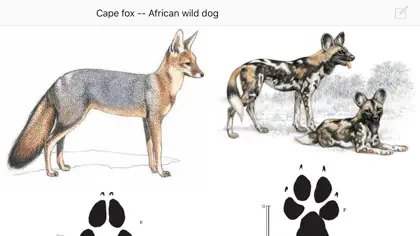 Capture d'écran 5 sur 5 de Mammals of the Southern African Subregion