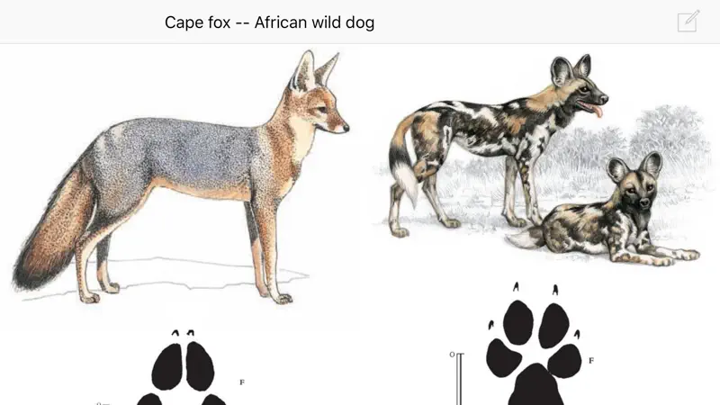 Mammals of the Southern African Subregion screenshot 5 of 5