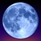 Blue Moon App