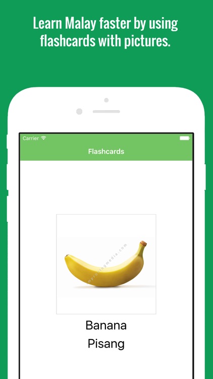 Malay Flashcards with Pictures Lite