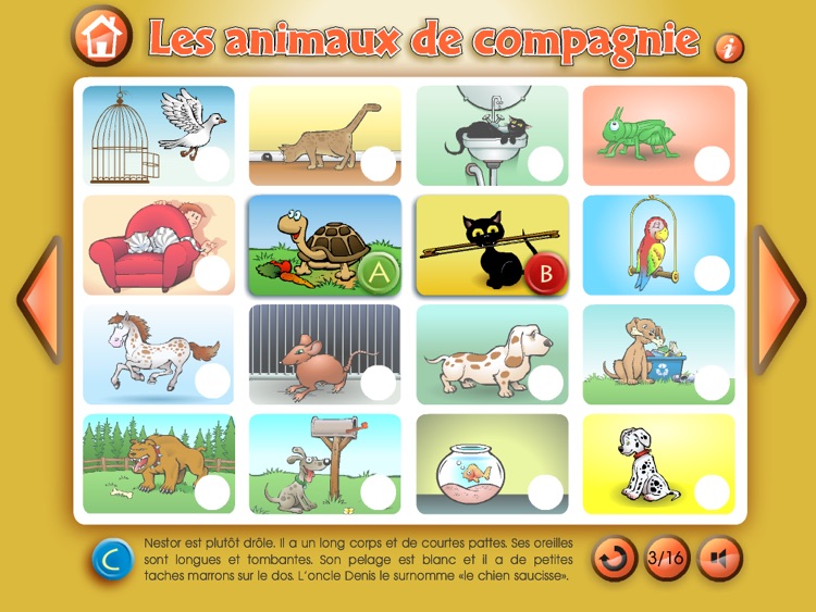 Les animaux de compagnie