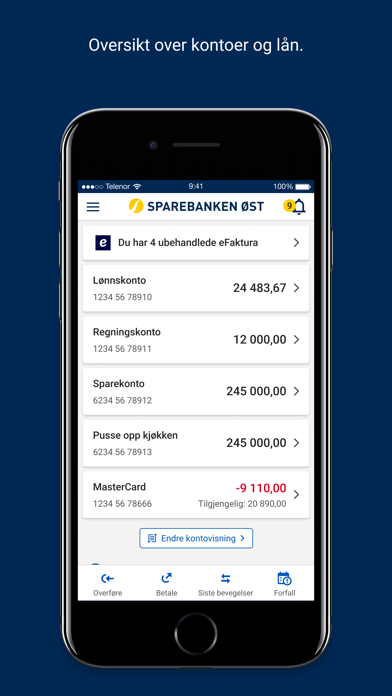 Sparebanken Øst Mobilbank Screenshot