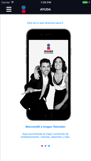 Imagen Televisión