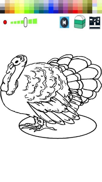 Family Turkey Color Game For Kids