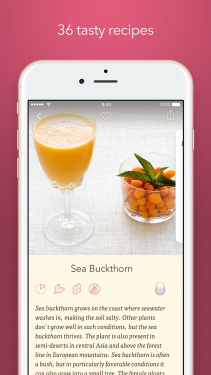Filibaba Smoothies – Refreshing and Tasty Drinks