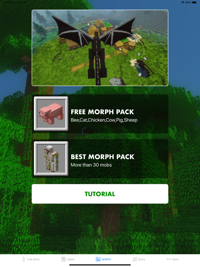 Morph Mod - Mods for Minecraft